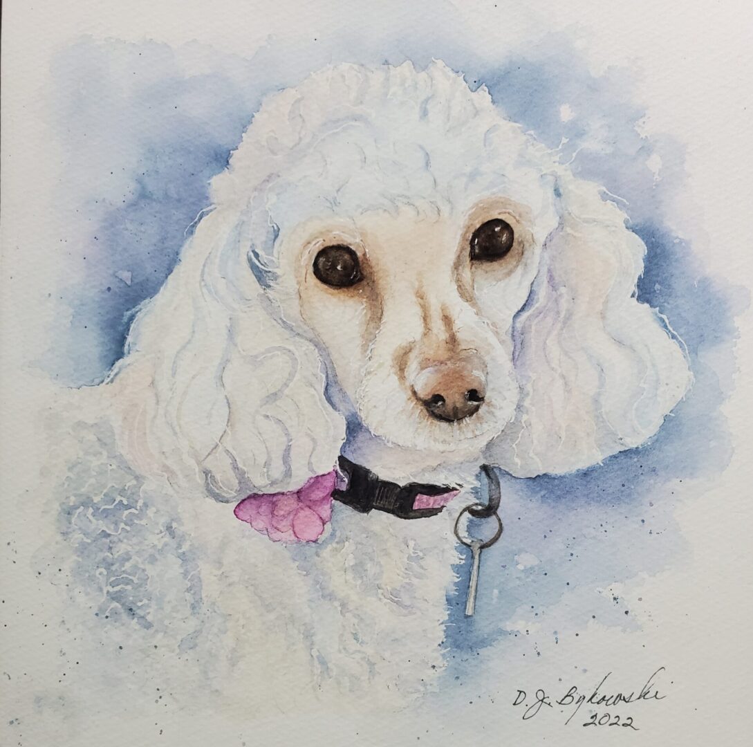 Closeup view of a white dog painting art