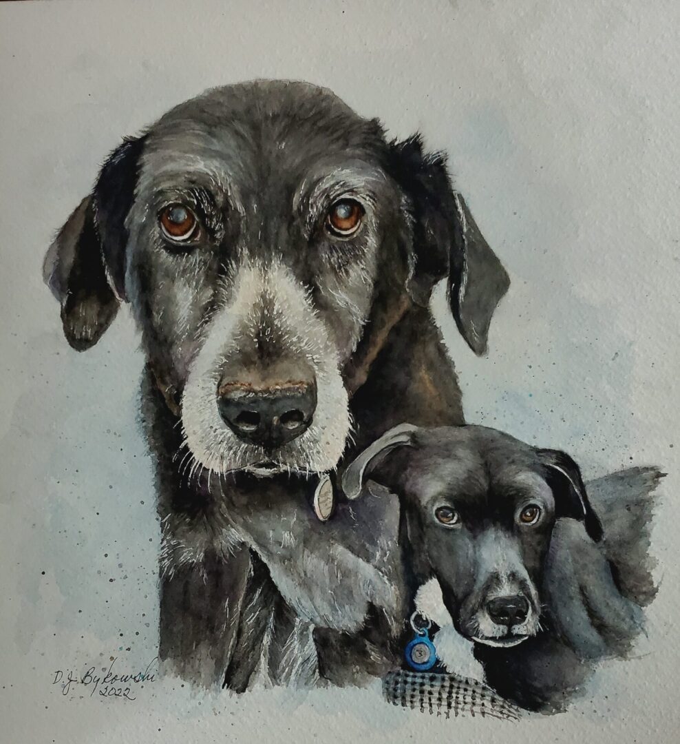 Closeup shot of a black dogs painting art