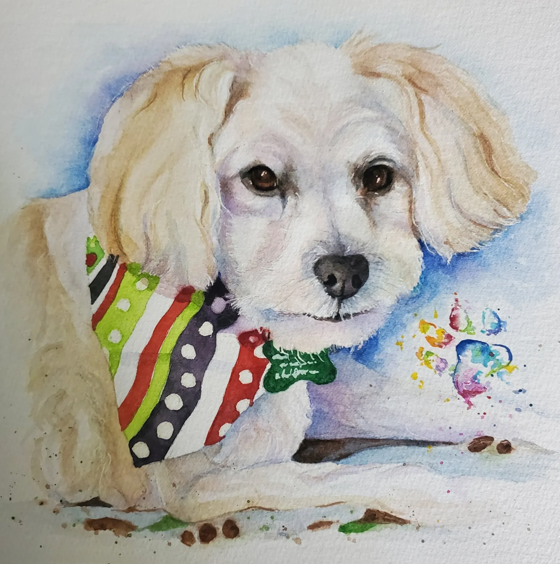 Lucky Bear - Garland, Texas